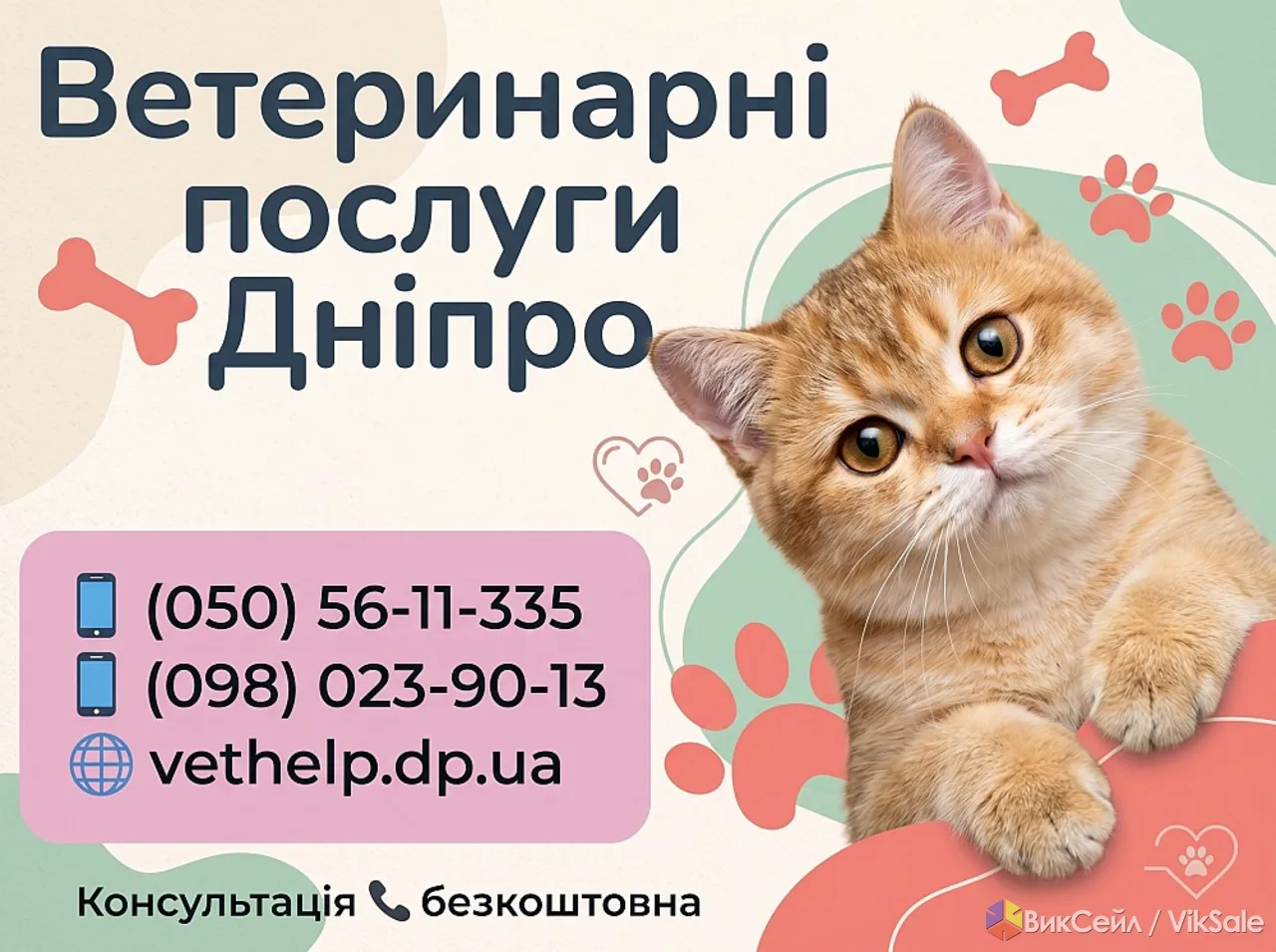 Виклик ветеринара на дім Дніпро