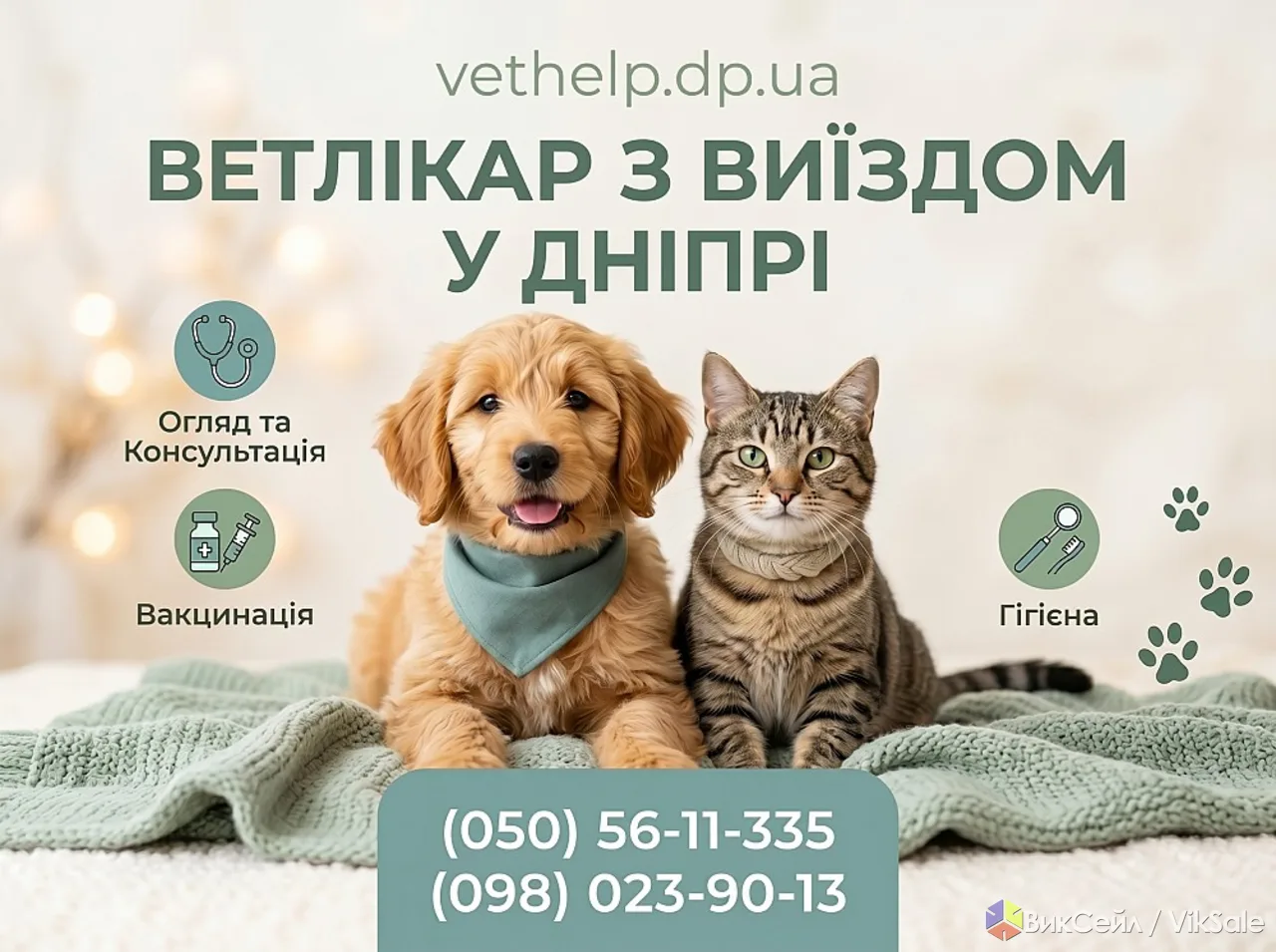 Ветеринарная помощь, вызов ветврача Днепр, Ветеринар вет. услуги