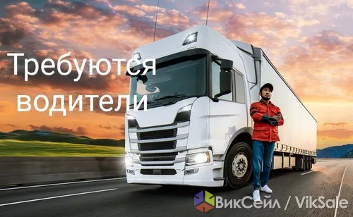 Работа водителем-международником в Европе от литовской компании