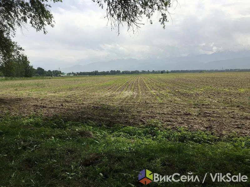 Земельный участок 82,6 га под крестьянское хозяйство, Саймасай