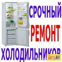 Ремонт холодильников на дому — качественно и недорого