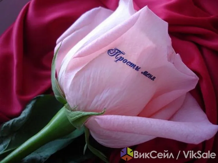 Оригинальный подарок — говорящие цветы