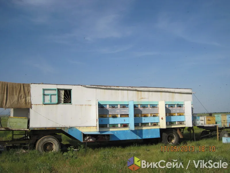Пасека: крытый павильон, прицеп и 80 пчелосемей