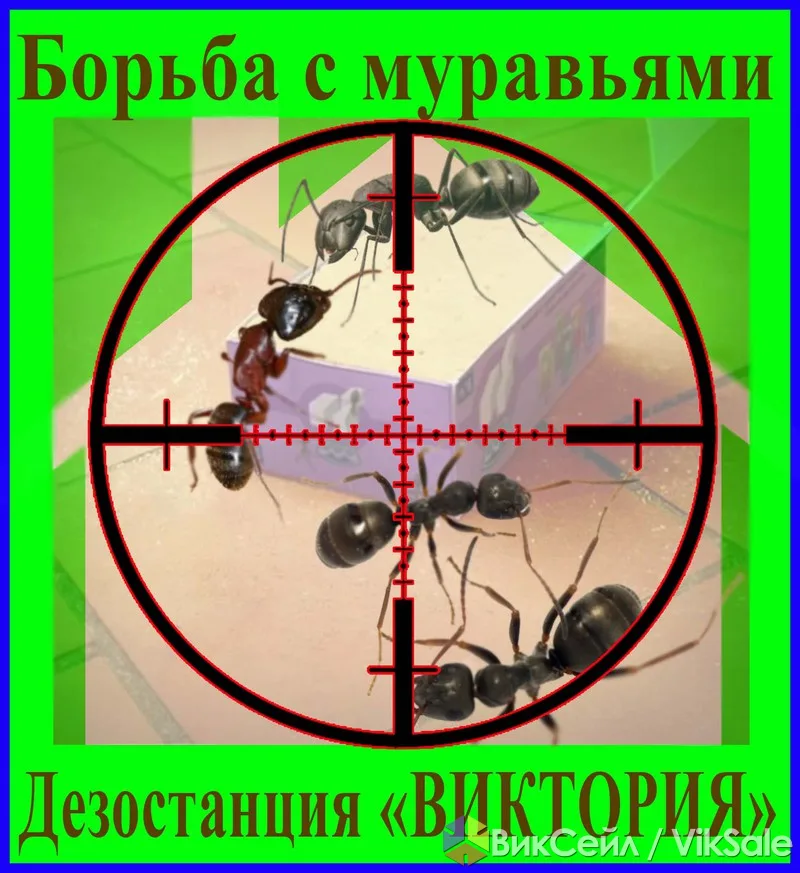 Профессиональное уничтожение муравьёв в Алматы и области