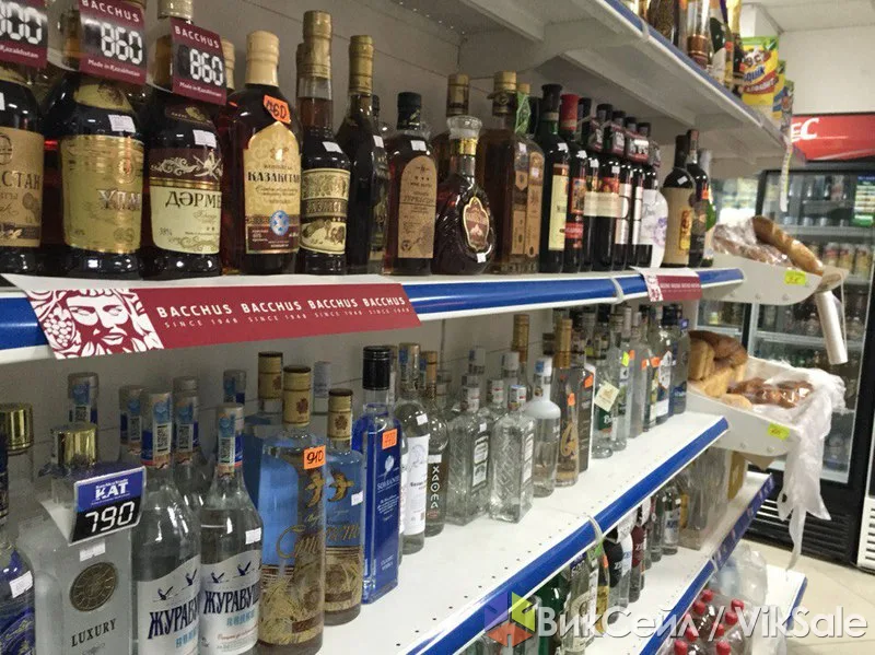 Действующий продуктовый магазин 80 кв.м в жилом доме