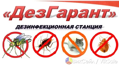 Дезинфекция, дезинсекция и дератизация — профессиональные услуги