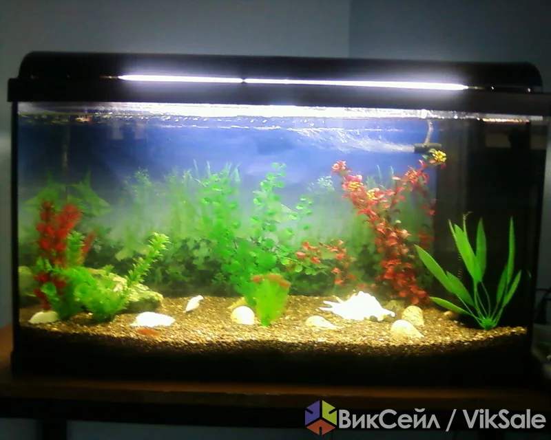 Новые аквариумы 100 л, 3 шт., с аксессуарами в подарок