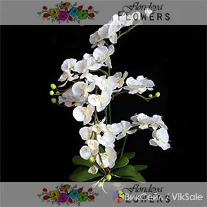 Искусственные цветы Florideya — красота без ухода