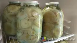 Солёные грузди из Кольсайского ущелья — хрустящие, домашние