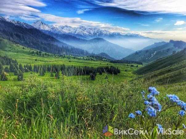 Кирпичный дом 77 кв.м с участком 16 соток в посёлке Кайназаровка