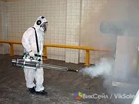 Профессиональная дезинсекция и дератизация в Таштаголе