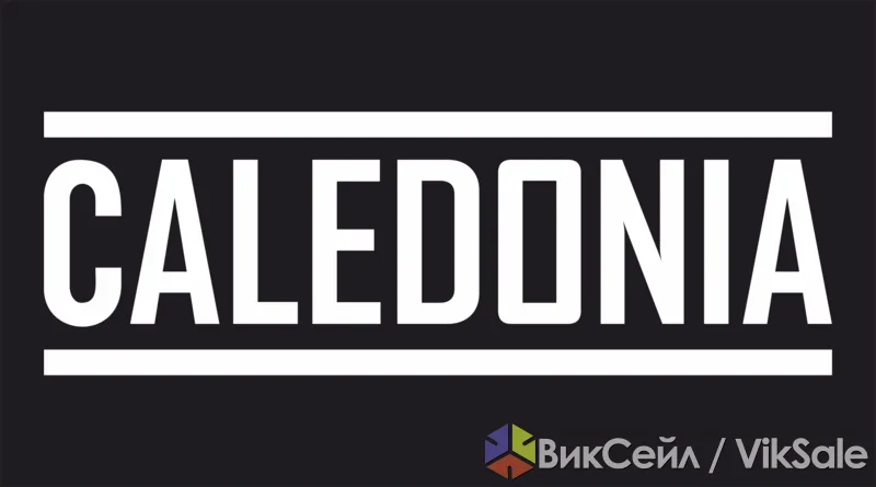 Caledonia Pub — аутентичный шотландский паб в Коврове