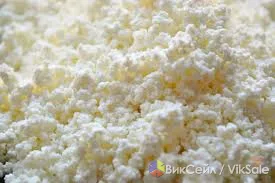 Оптовые поставки свежего домашнего творога из Петропавловска