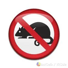 Дератизация и дезинсекция — уничтожение грызунов и насекомых