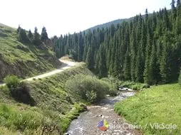 Автобусные туры выходного дня по Казахстану