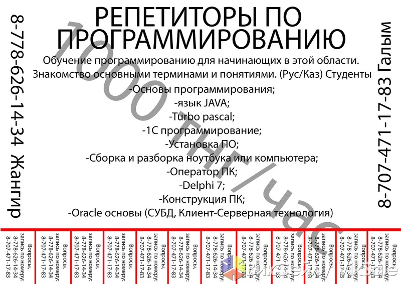 Репетитор по программированию для начинающих