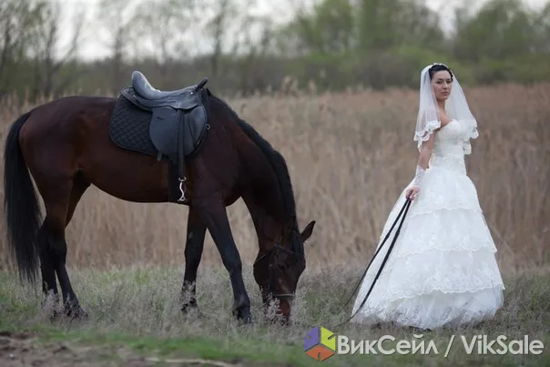 Фотограф на свадьбу – полный день + Love Story