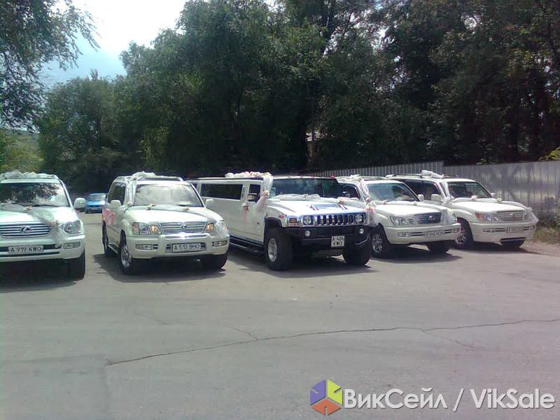 VIP-прокат лимузинов и кортежей