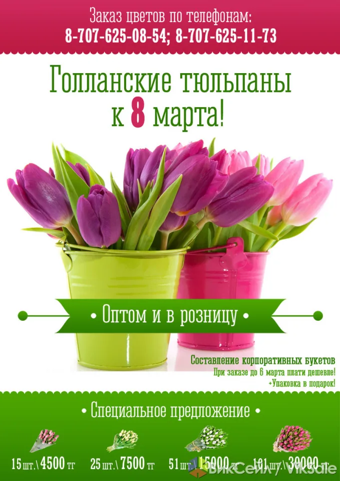 Тюльпаны к 8 Марта от голландских луковиц