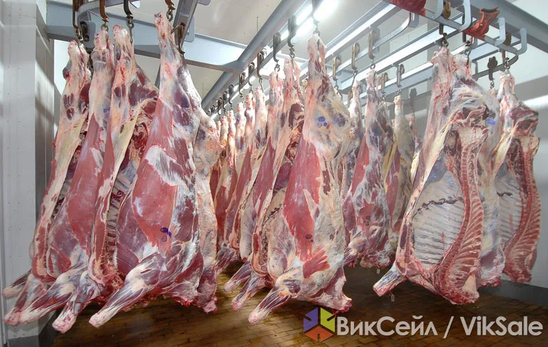 Говядина 1-2 категории оптом от производителя