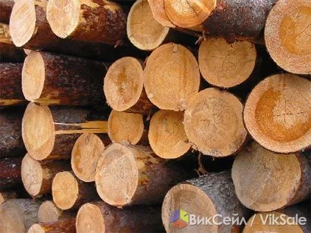 Лес кругляк сосна из Башкирии