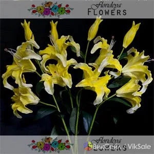 Фото 3