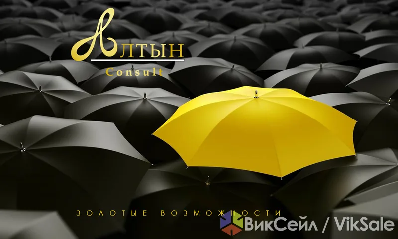Консалтинговые услуги для бизнеса в Алматы
