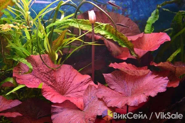 Фото 3