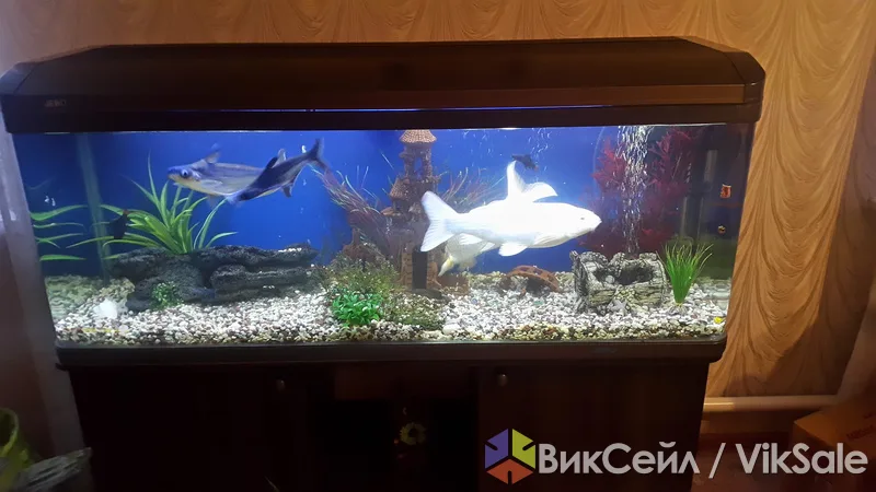 Аквариум JEBO 400 л с рыбками и декорациями