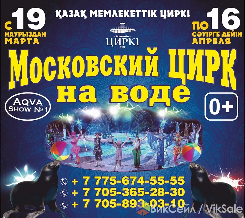Московский цирк на воде в Алматы — незабываемое шоу
