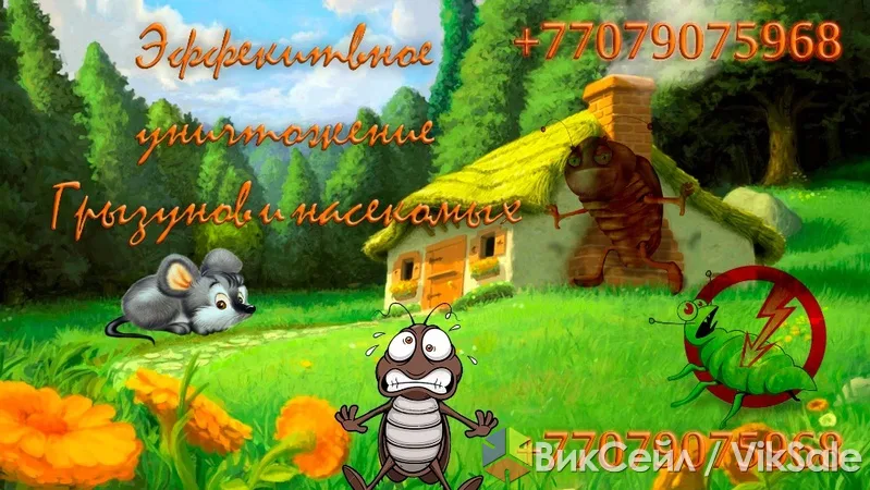 Уничтожение насекомых и грызунов: клопы, тараканы, блохи, крысы