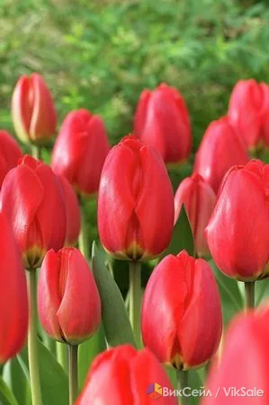 Фото 2
