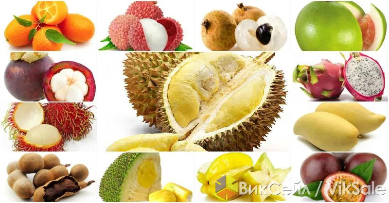 100% мякоть экзотических фруктов Latifresh — натурально и без сахара