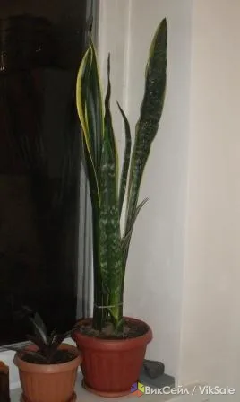 Фото 3