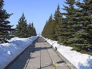 Услуги по установке теплых полов и систем электрообогрева