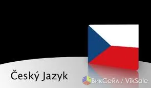 Профессиональный перевод с чешского и на чешский — любые темы