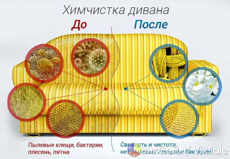 Профессиональная чистка мягкой и кожаной мебели, ковров