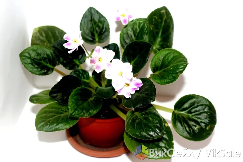 Фото 3