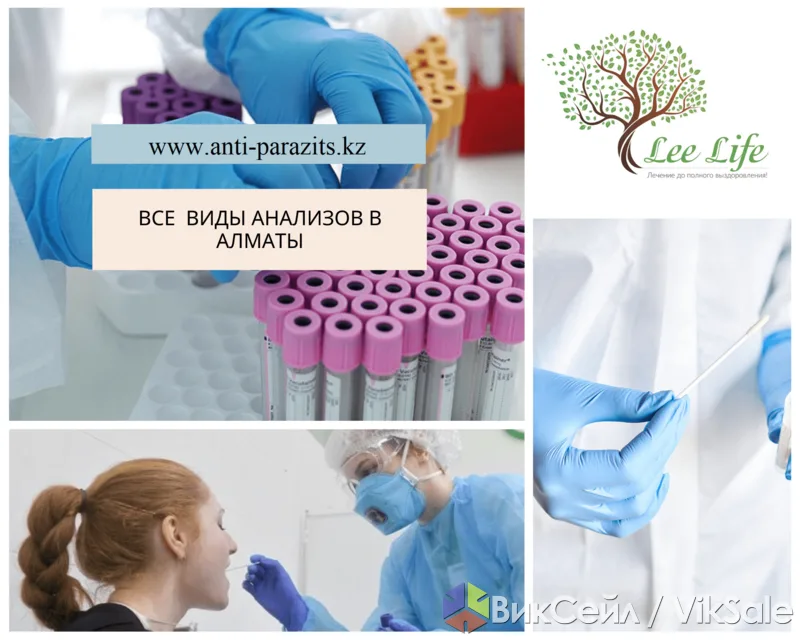 Лабораторные анализы: более 800 видов исследований