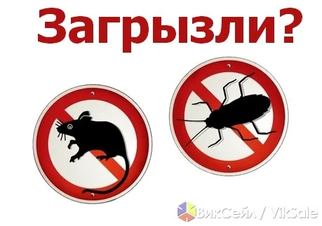 Избавим от клопов, тараканов, мышей и других вредителей