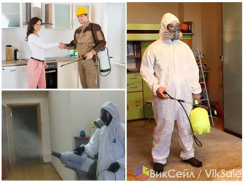 Профессиональная дезинфекция, дезинсекция и дератизация в Богучаре