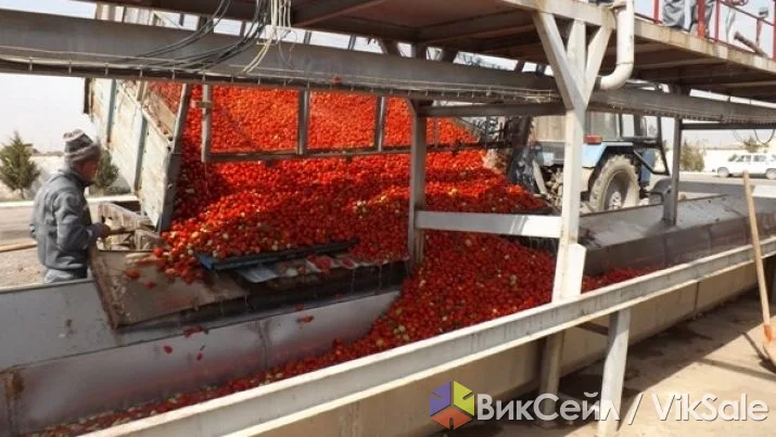 Концентрат томатной пасты 28-30% Brix и яблочное пюре 31-32% Brix от производителя