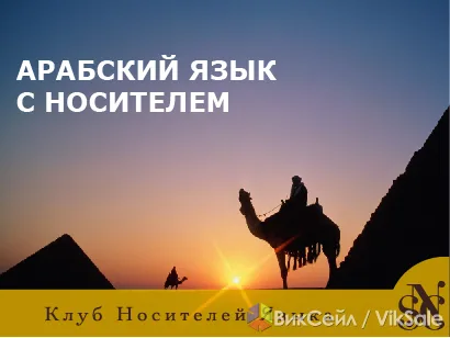 Курсы арабского языка в Таразе — индивидуально и в группах