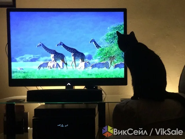 Ремонт телевизоров на дому — опытный мастер