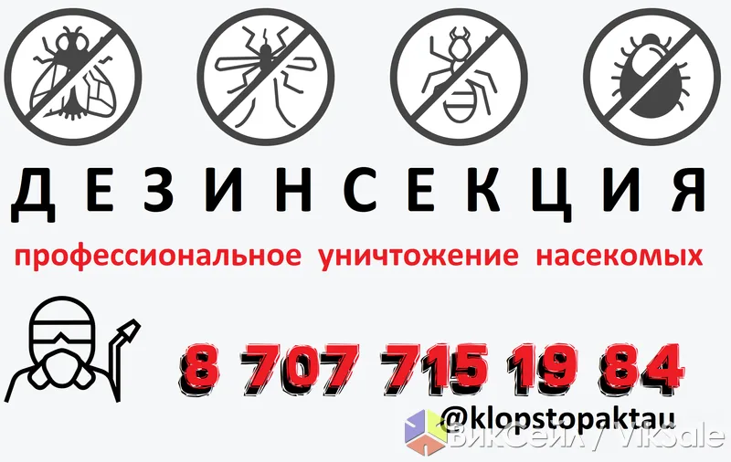 Профессиональное уничтожение клопов, блох и тараканов