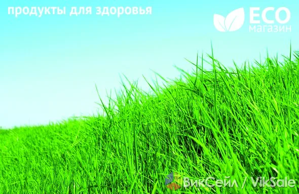 ЭкоМагазин: продукты для здорового образа жизни