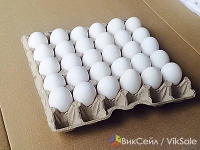 Куриные яйца оптом от одной коробки