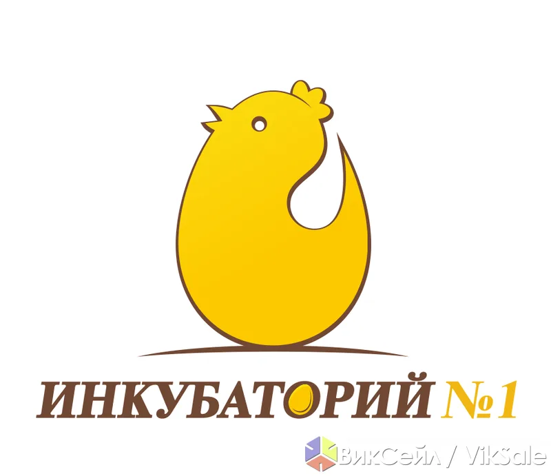 Цыплята бройлеры: КОББ 500, РОСС 308, цветной бройлер, Родонит
