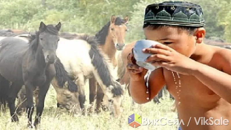 Свежий саумал (кобылье молоко) с доставкой на дом и в офис