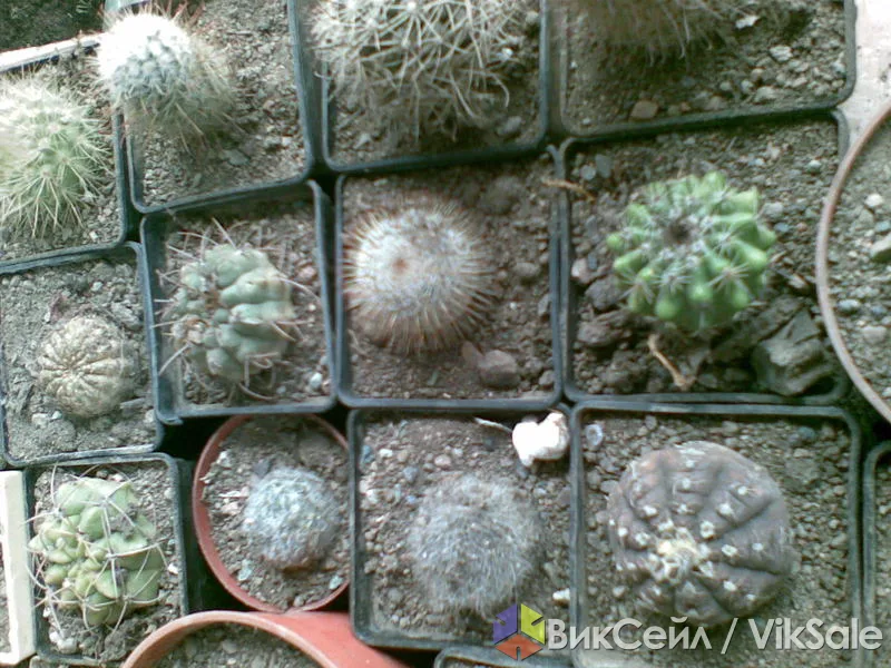 Фото 3